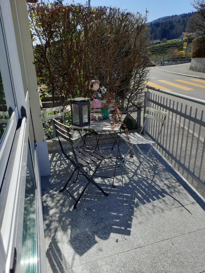 Les Hirondelles, Appartement De Vacances Avec Terrasse Et Coin Grillades Granges Dış mekan fotoğraf